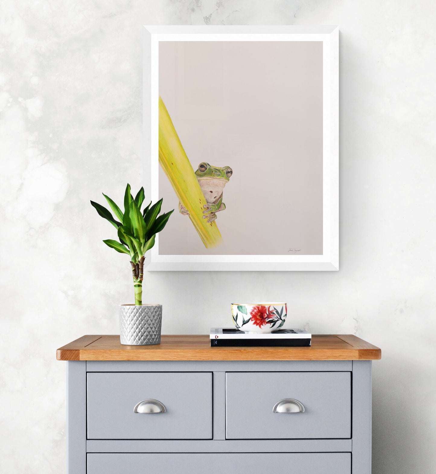 Australian Green Tree Frog - Original - Artwork - Framed