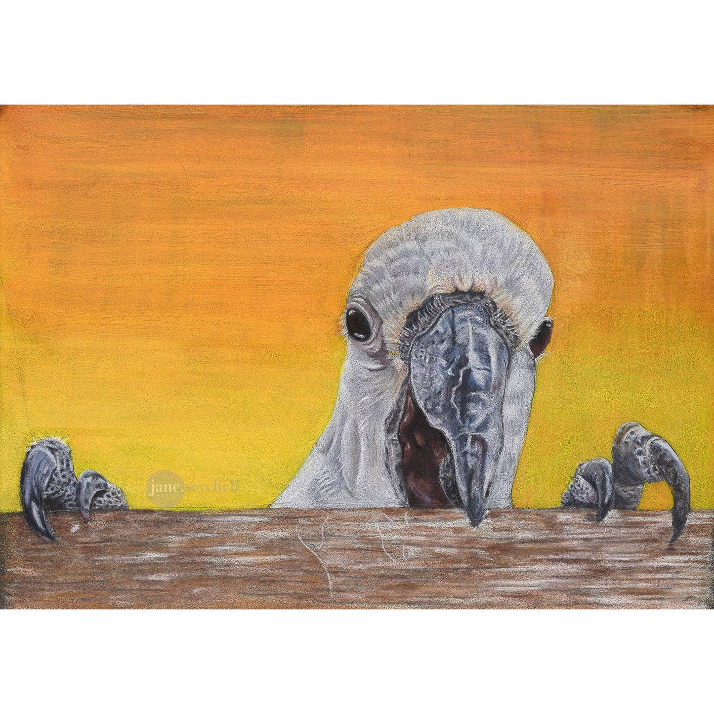 Sunset Cockatoo - Original Artwork - Framed