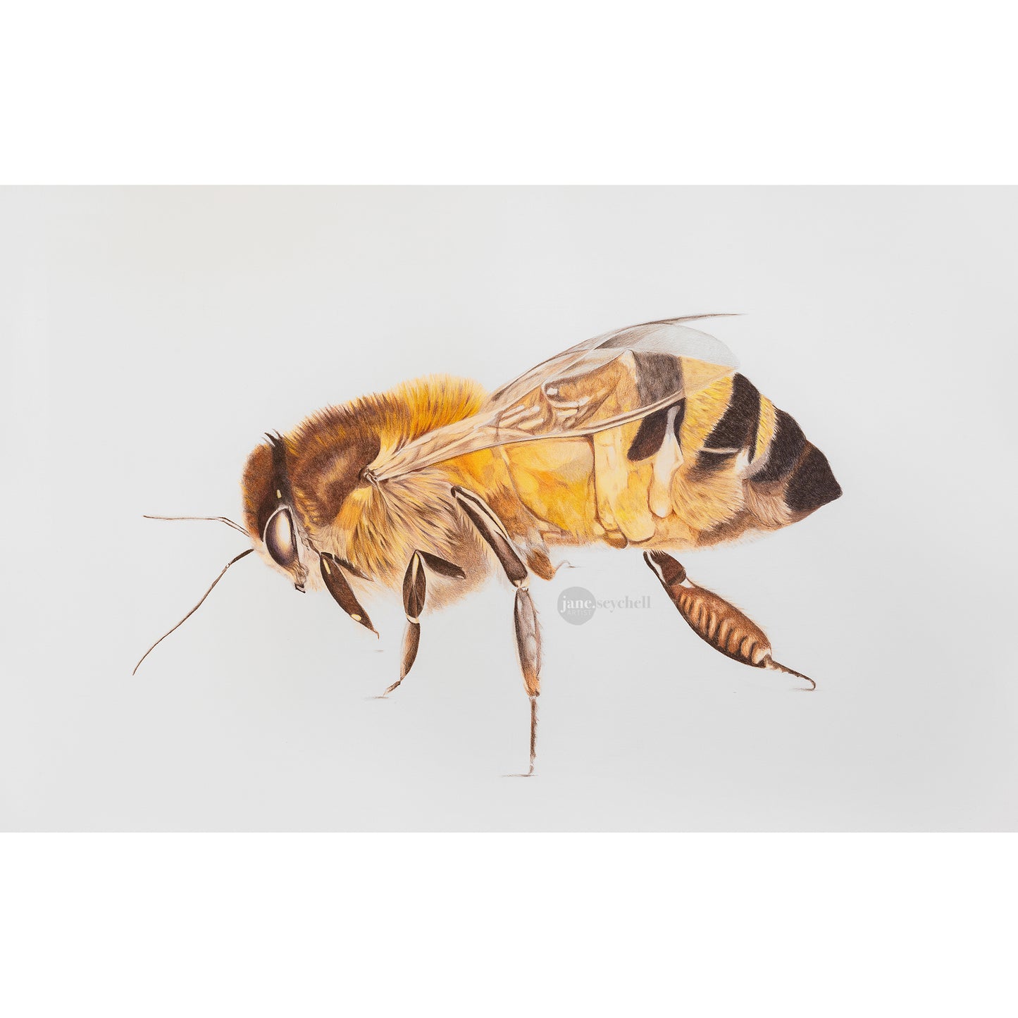 The Souls of Our Existence Print