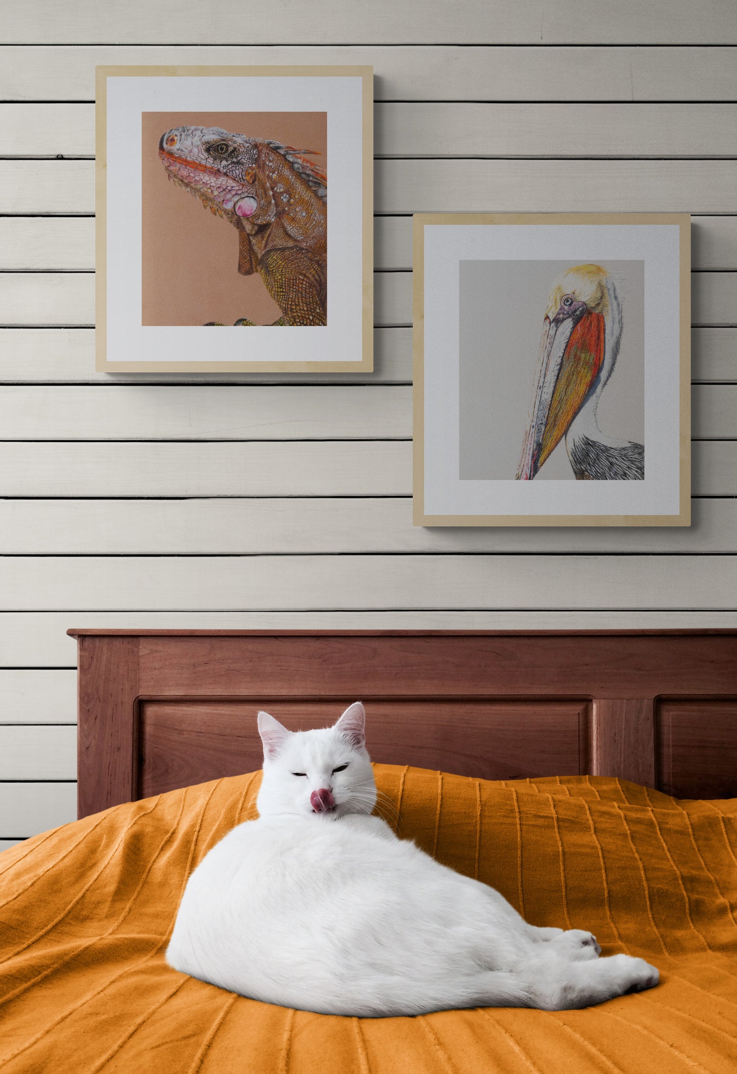 Pelican - Original Artwork - Framed