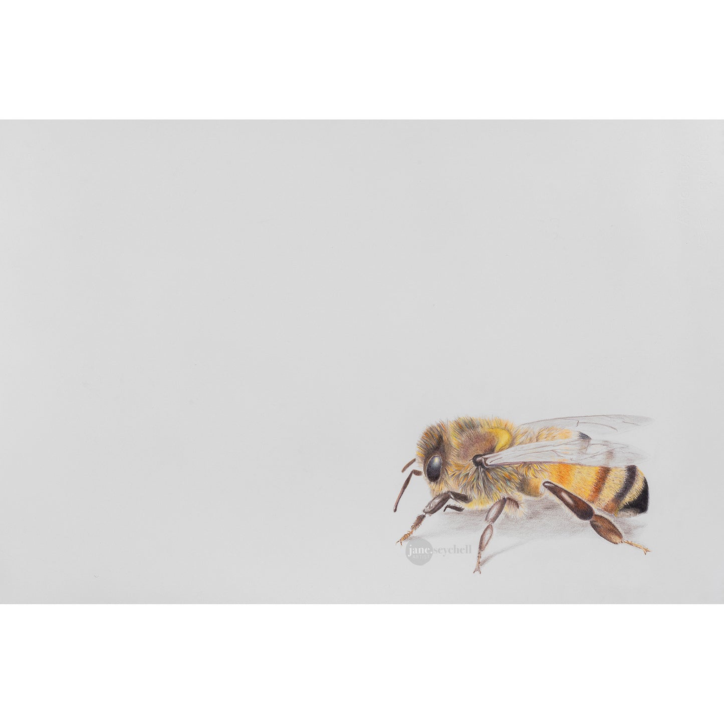 Bee Free - Original Artwork - Framed