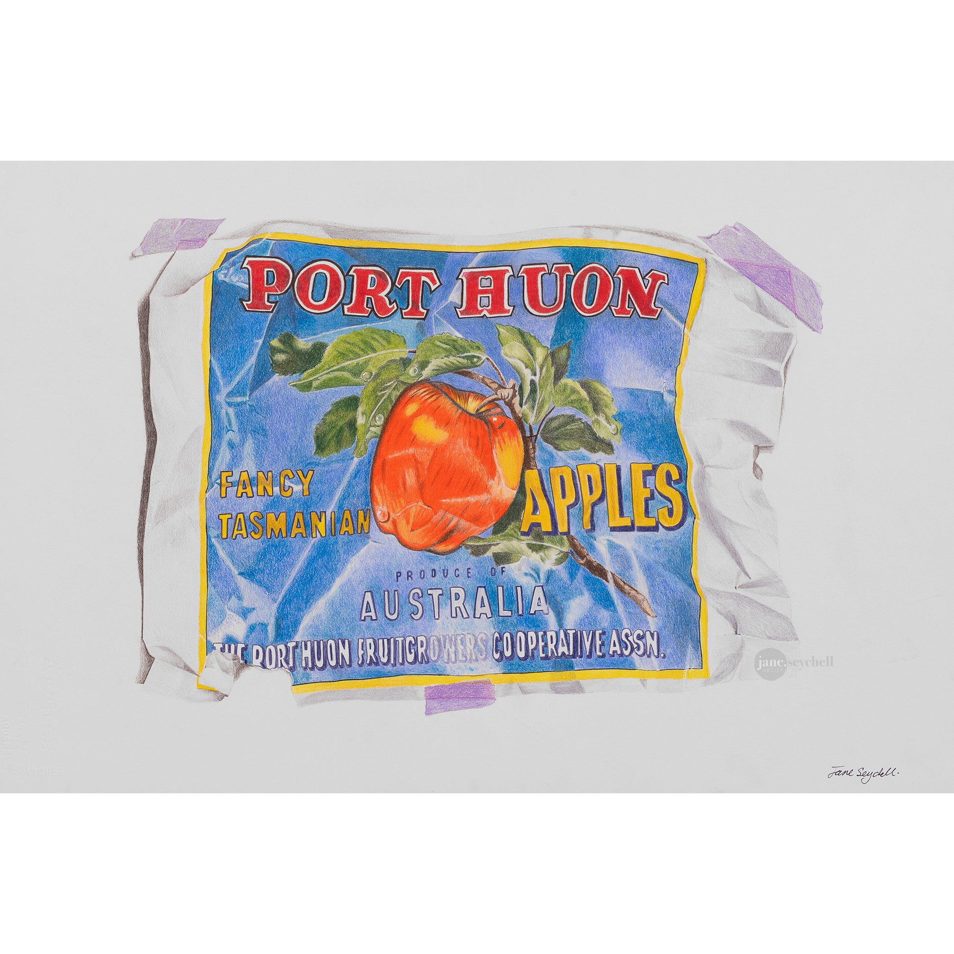 Fancy apples is a realism colour pencil drawing of a crumpled old apple box label by artist Jane Seychell