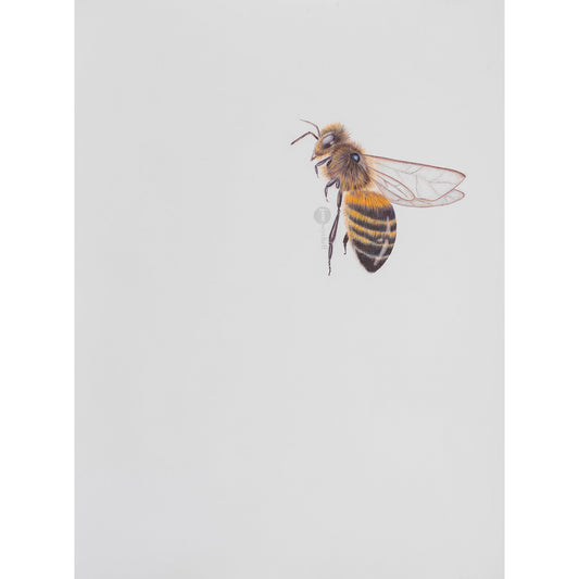 Flying Bee - Original Artwork - Framed