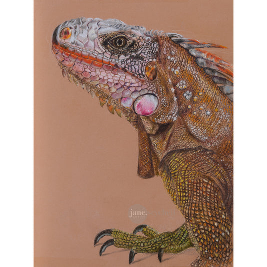 Iguana - Original Artwork - Framed