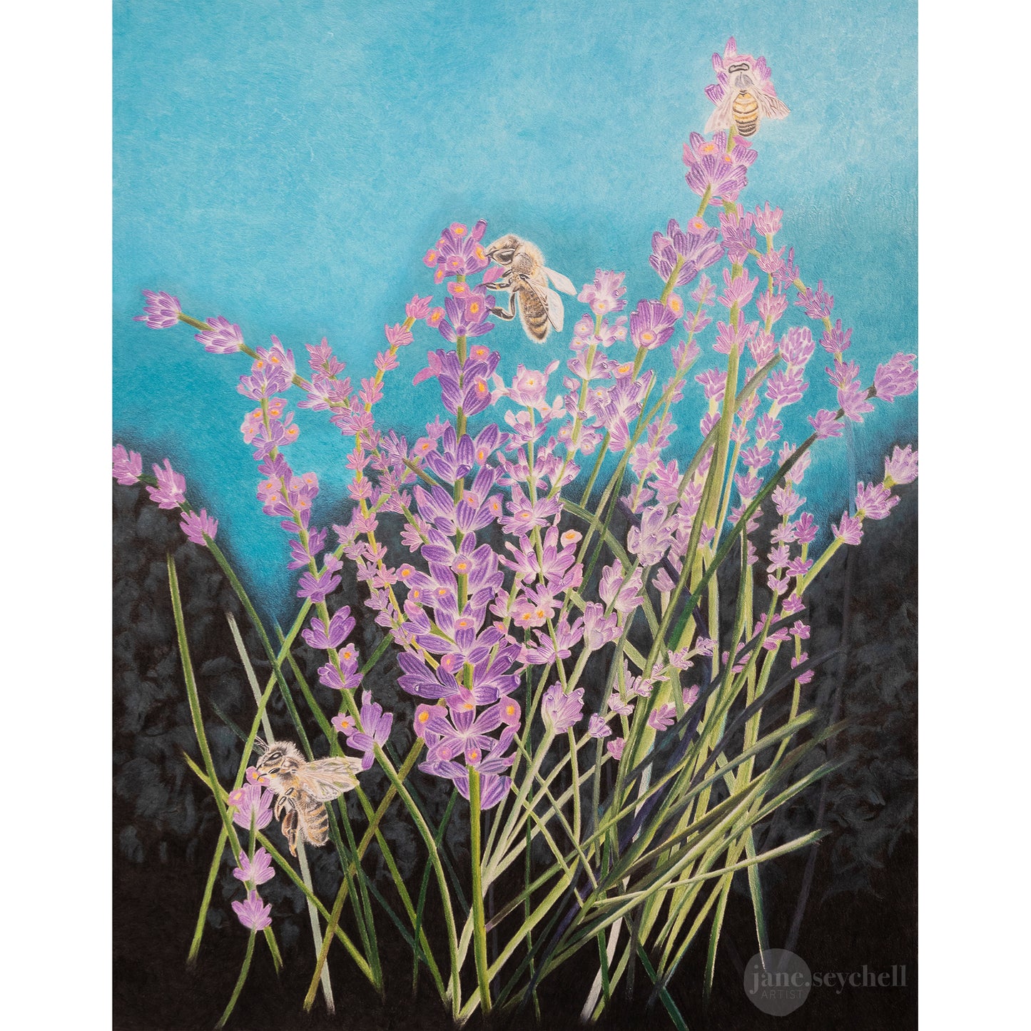 Lavender Bees - Original Artwork - Framed