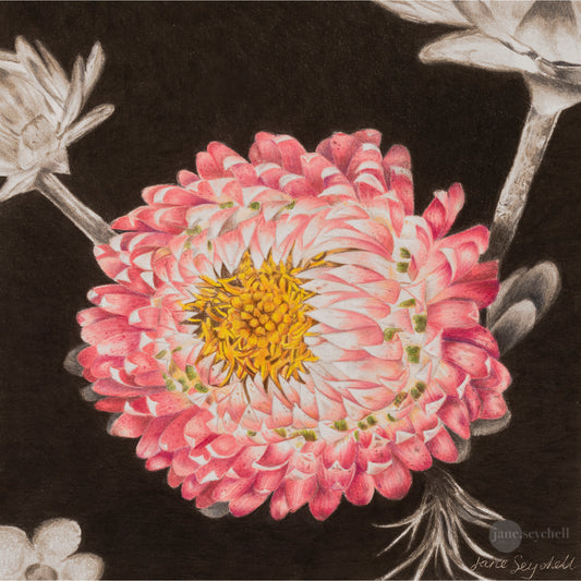 Paper Flower - Original Artwork - Framed