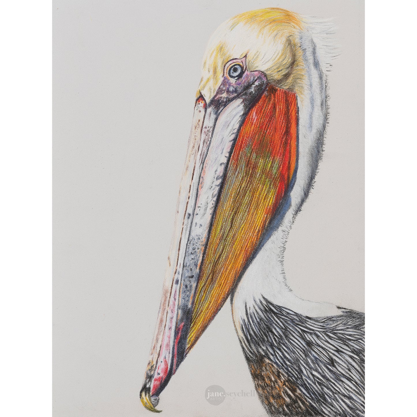 Pelican - Original Artwork - Framed