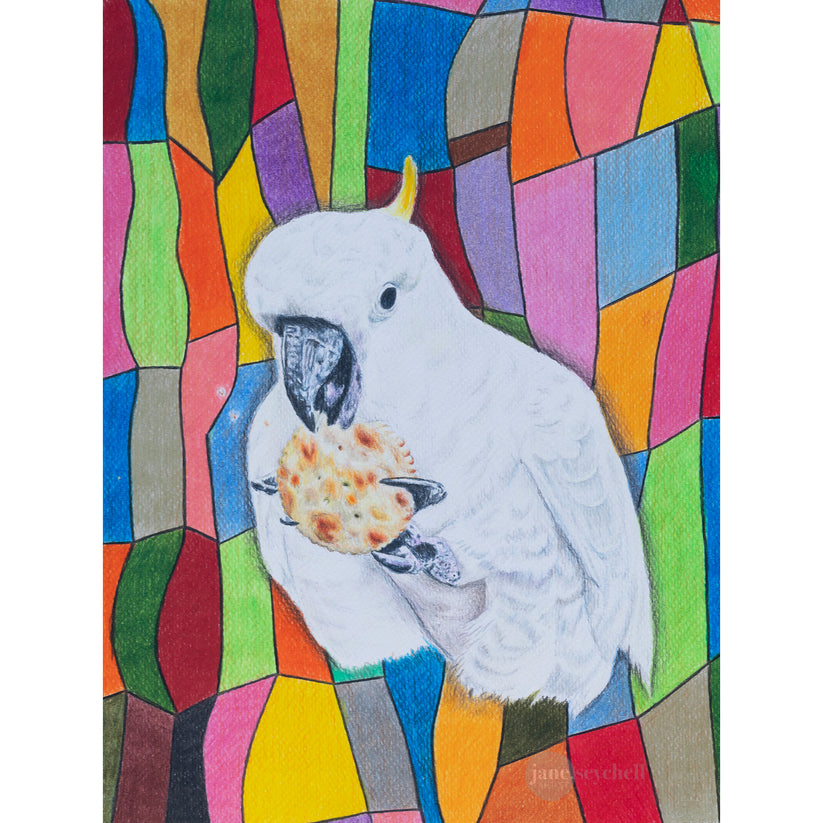 Rainbow Cockatoo Print – Jane Seychell Artist