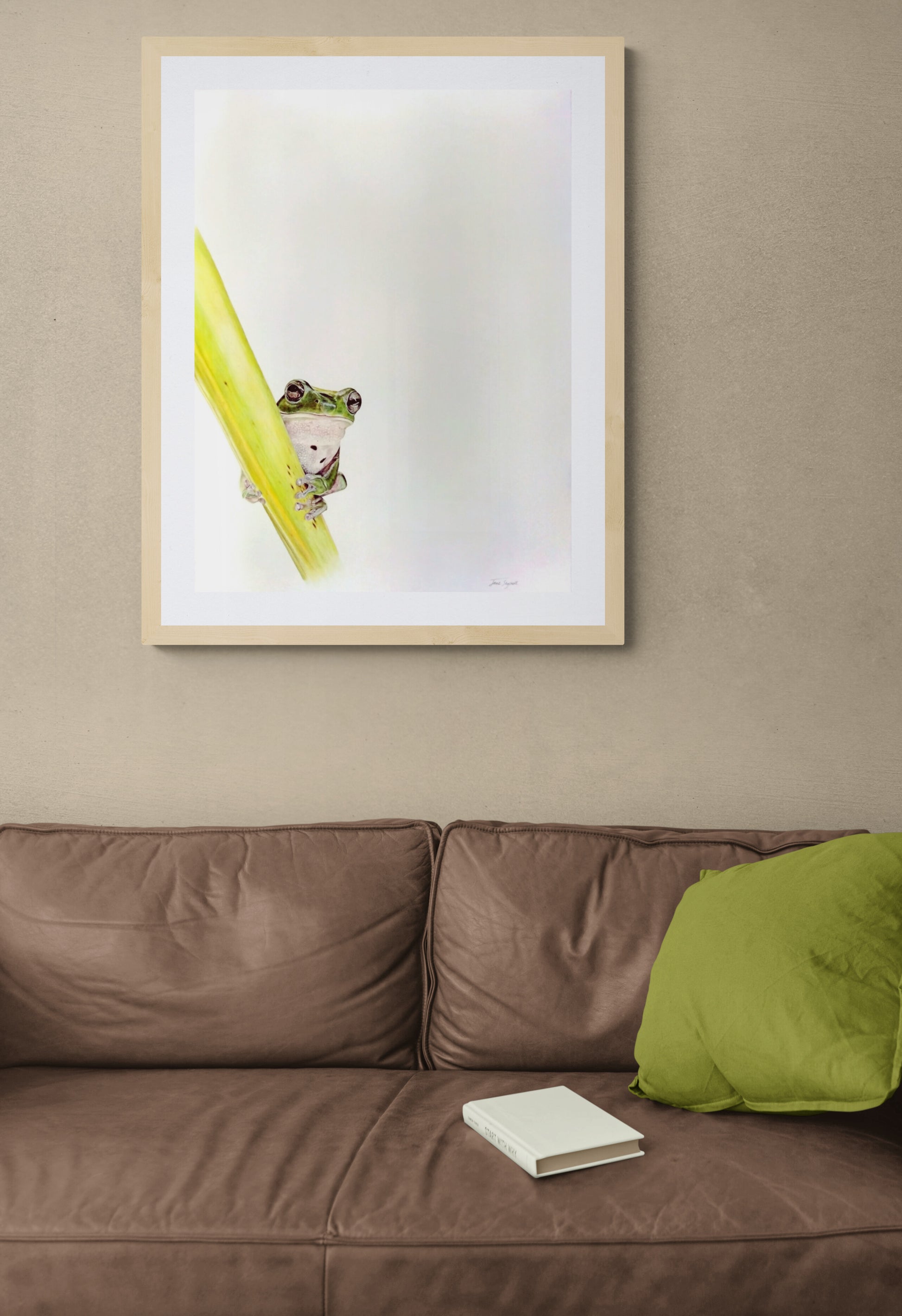 Framed artwork of a green tree frog