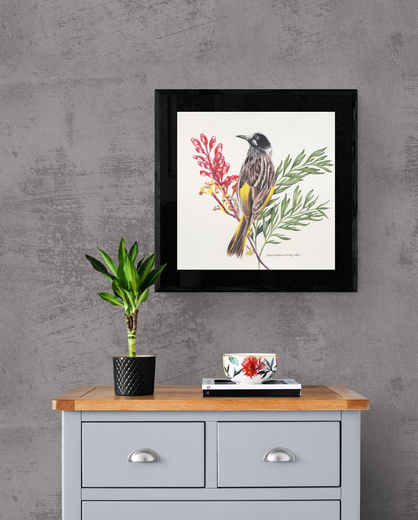 Honey Eater - Colour Pencil Original Framed